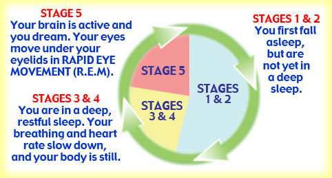 The Power of the Sleep Cycle - Glen Rhodes